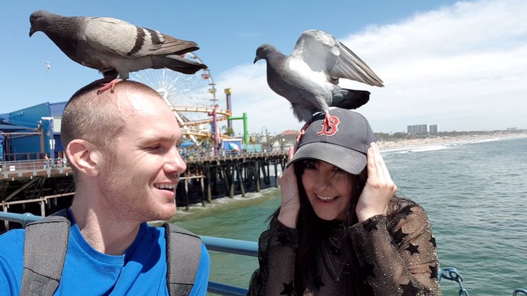 pigeon_girl_and_dave_1.jpg