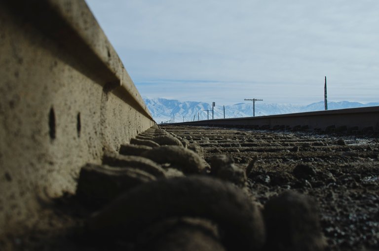 Down in the old dirt track racks.JPG