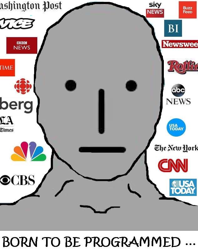 NPC-MSM.jpg