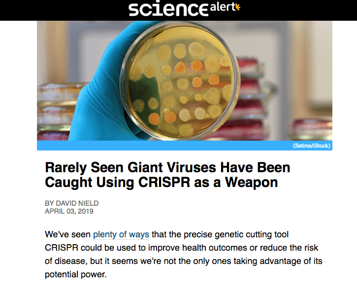 Rarely Seen Giant Viruses Have Been Caught Using CRISPR as a Weapon.png