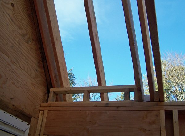 Construction - extending rafters on existing crop November 2019.jpg