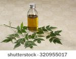 Neem Oil.jpg