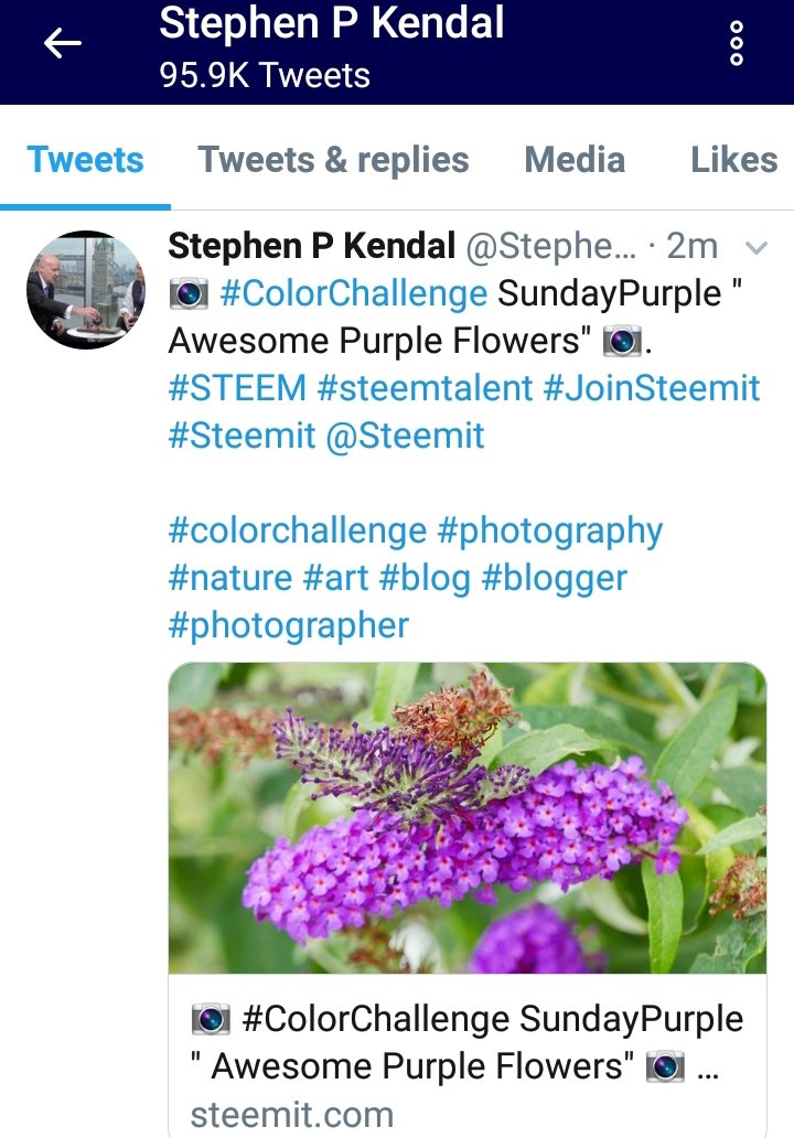 20181014_172210.jpg