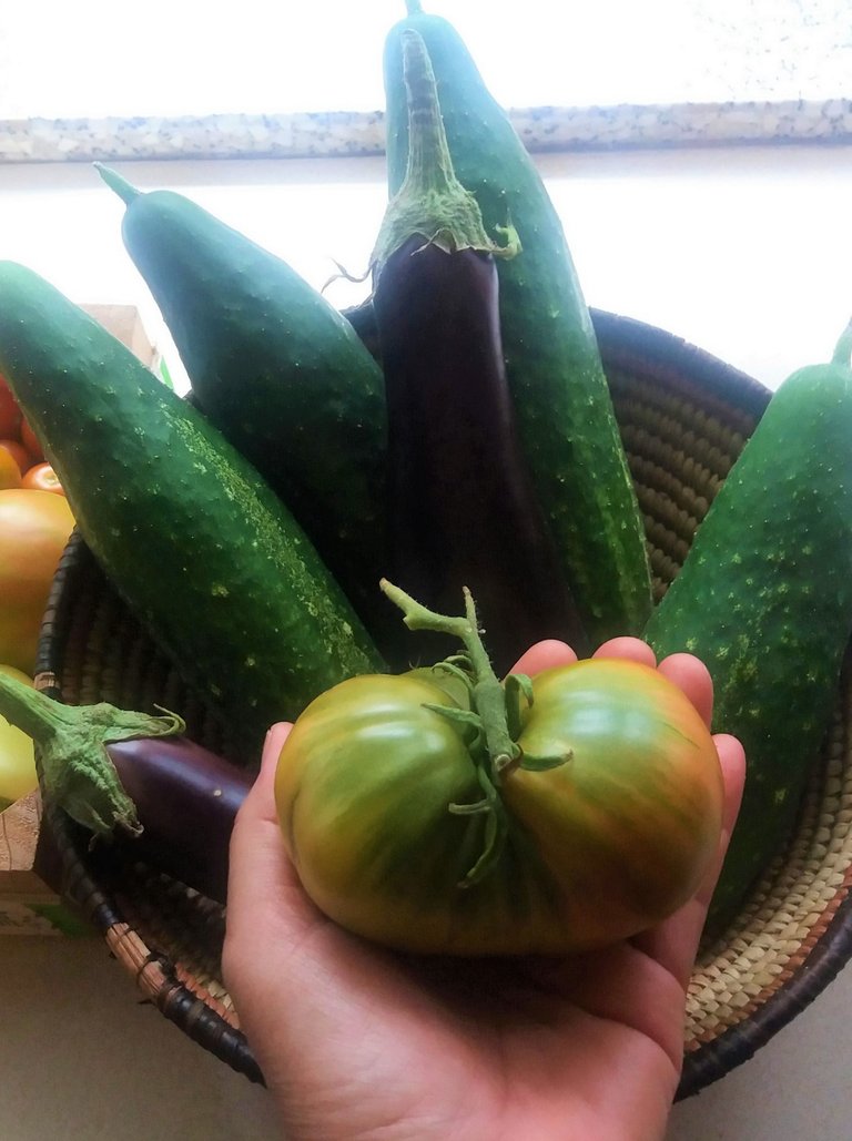 cukes aubergine.jpg