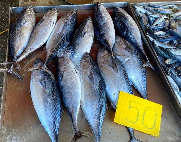 Fresh Market in Phang Nga Thailand