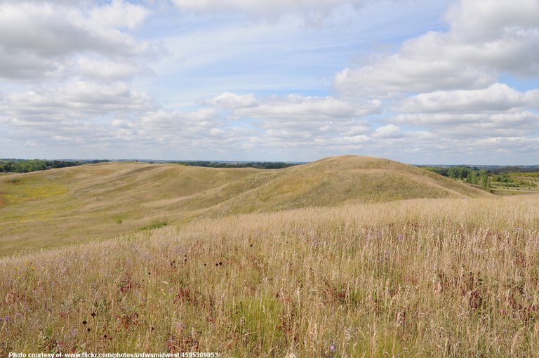 GrasslandsInAutumn-001-0901718.jpg