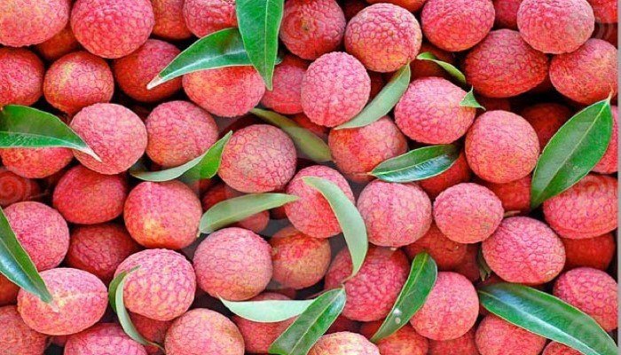 Lichi-Fruit-Death.jpg