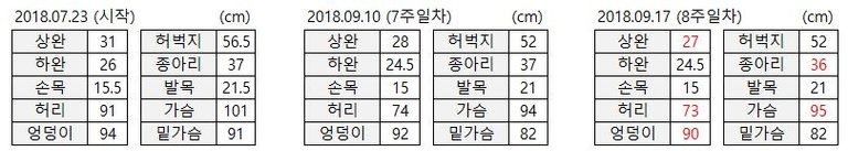 사이즈 8주차.JPG