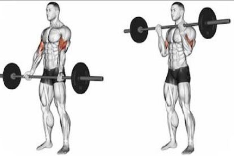 Wide-Grip Standing Barbell Curl.JPG