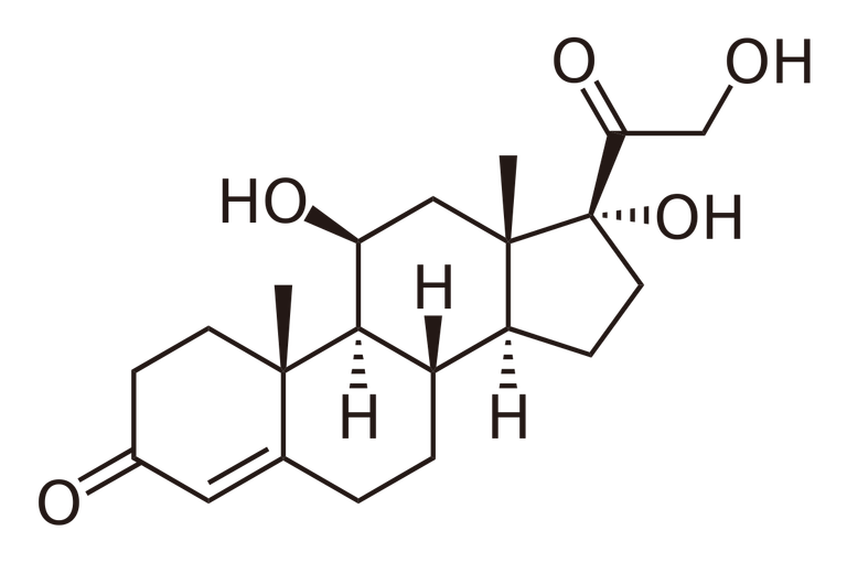 1200px-Cortisol2.svg.png