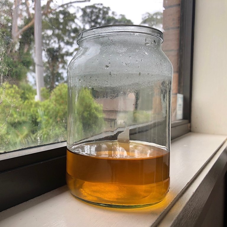 Filtered green tea