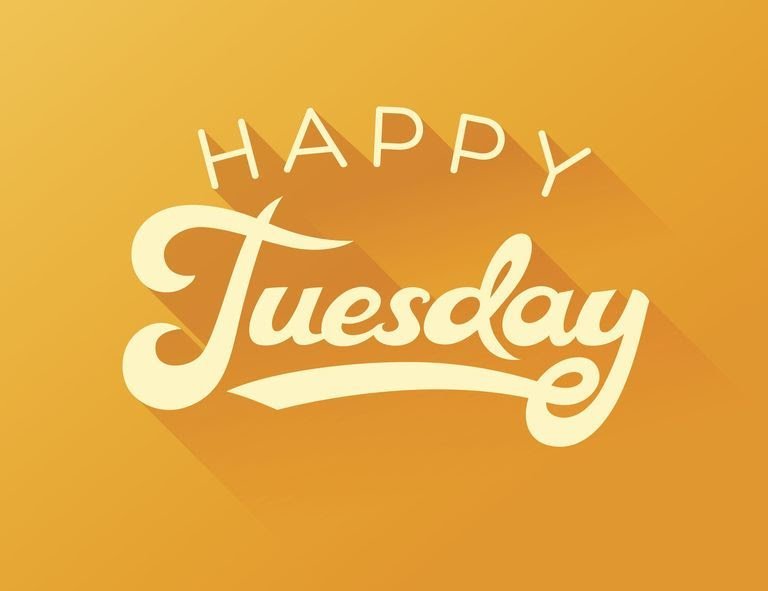 happy-tuesday-calligraphy-note-card-534030400-57c3555f3df78cc16e978859.jpg