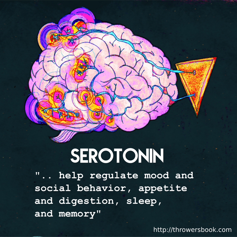 serotonin-description-throwersbook.png