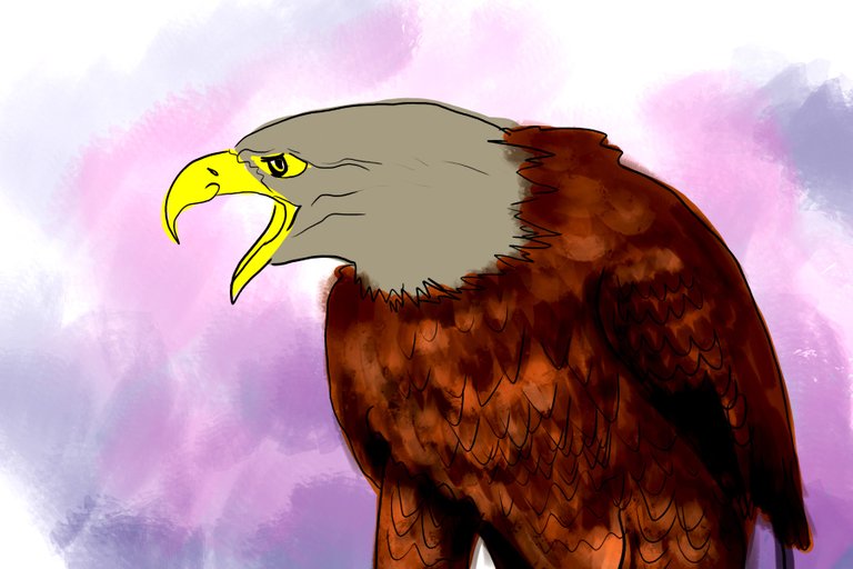 eagle(353).jpg