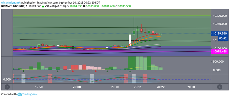 btc move up fast  to $10,300 after dropping $200  to 9,942    9-10-19.png