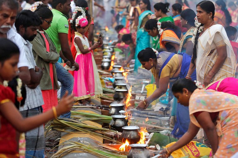 pongal-reuters-875.jpg