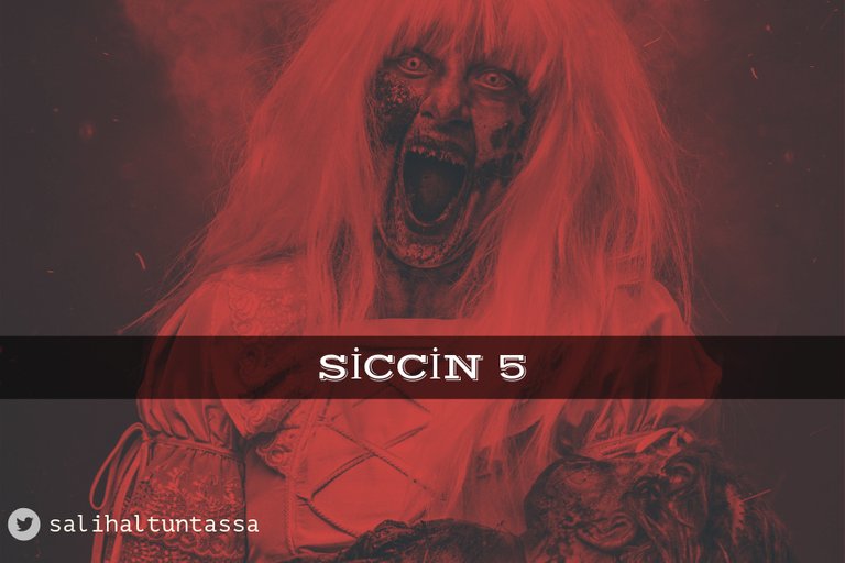 siccin5_fim.jpg