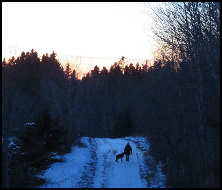 Don and Bruno walking off into the sunset.JPG