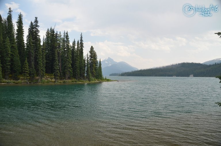 maligne lake3.jpg