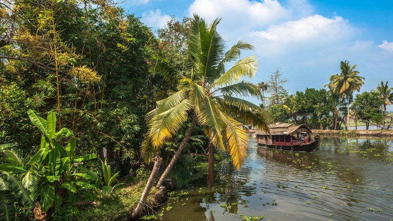 nws-st-india-kerala-backwaters.jpg