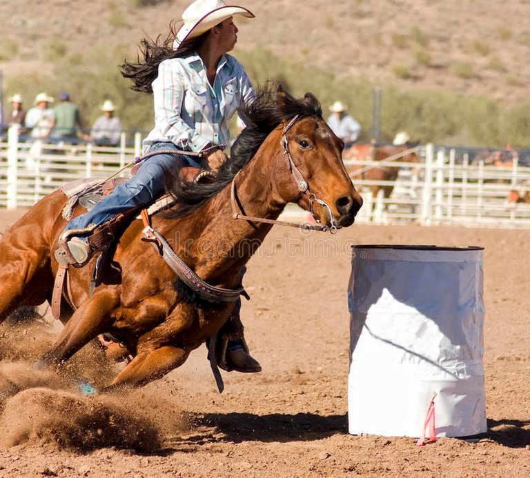 rodeo-barrel-racing-20957648.jpg