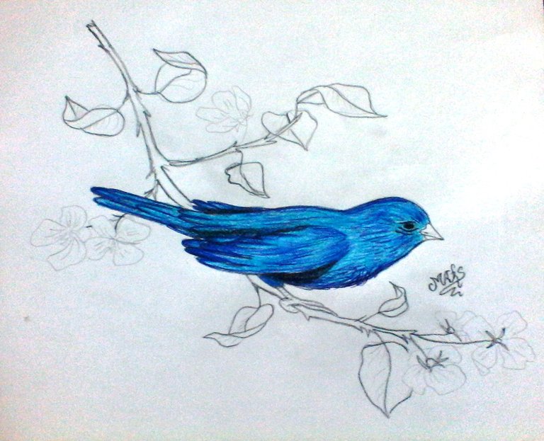 POESIA Y DIBUJO (2).jpg