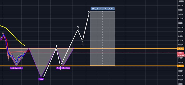 btcvipchart.jpg