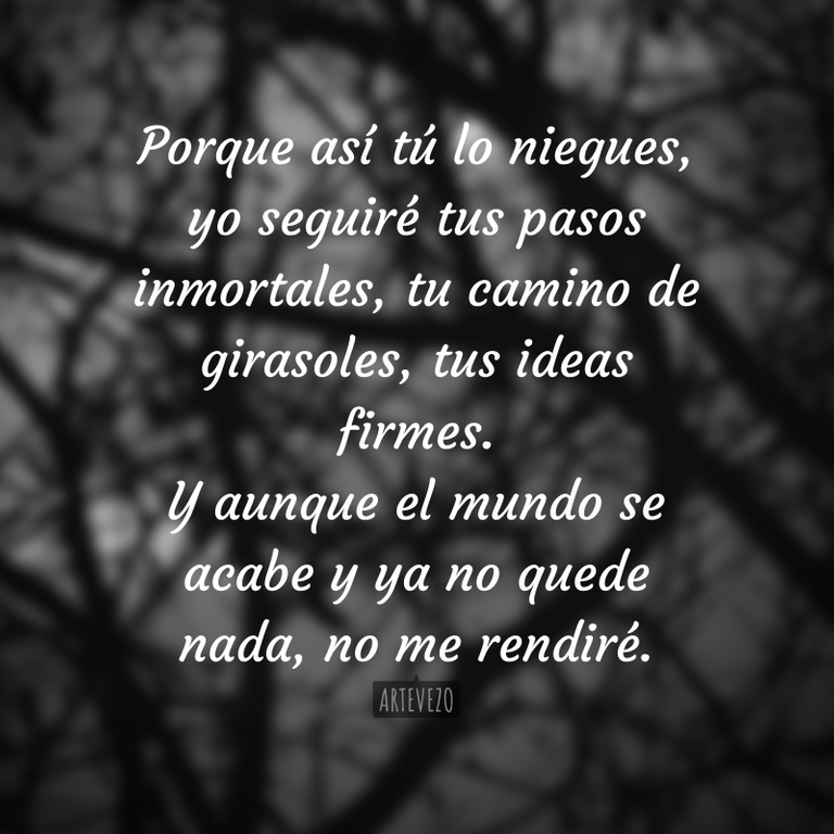 Porque así tú lo niegues, yo seguiré tus pasos inmortales, tu camino de girasoles, tus ideas firmes. Y aunque el mundo se acabe y ya no quede nada, no me rendiré..png