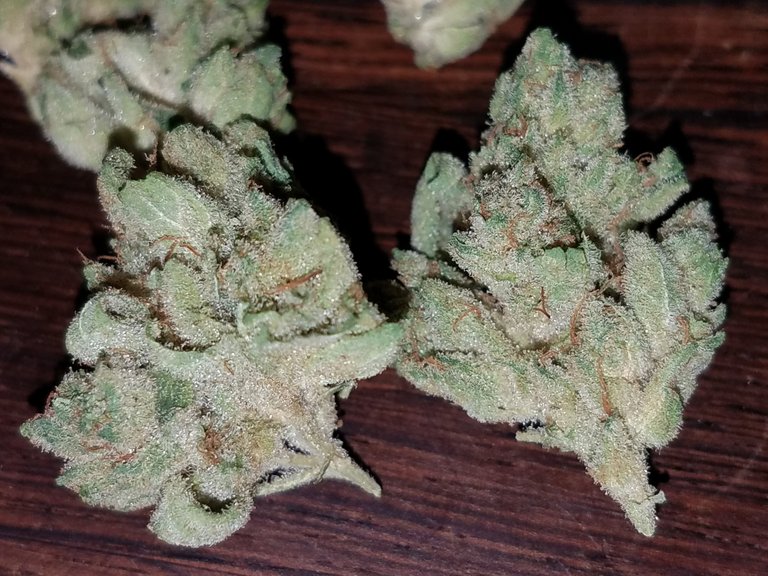 nugs-of-the-week-gorilla-glue.jpg