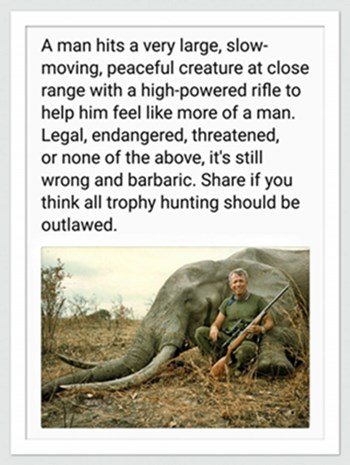 Hunter in front of dead elephant.jpg