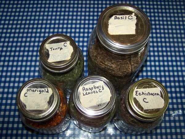 Herbs for Hens -  marigold, raspberry, echinacea, tansy, basil lids crop December 2019.jpg