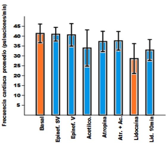 fig3.jpg