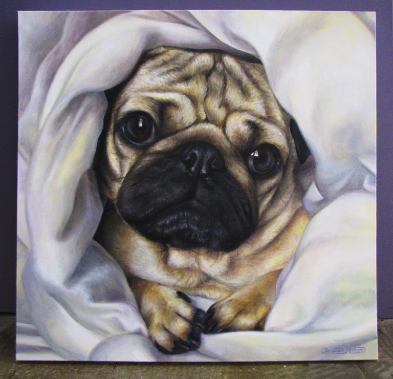 Doug the Pug_24x24_Christie Snelson.jpg