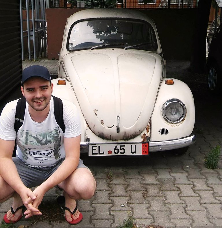 beetle.jpg
