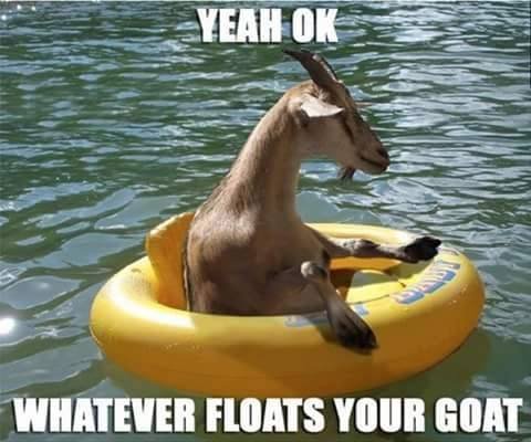 Floats your goat.jpg