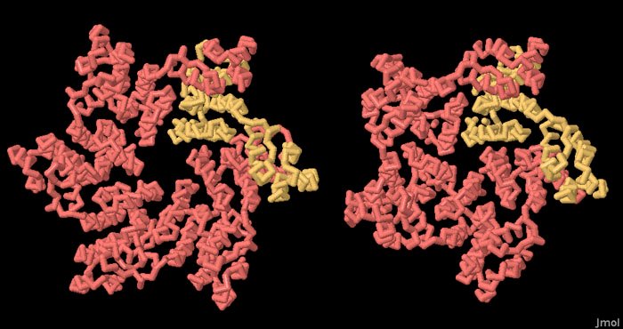 163-HIVCapsid_3mge_3p05_jmol.jpg