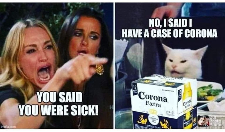 Smudge the cat corona virus meme.jpg