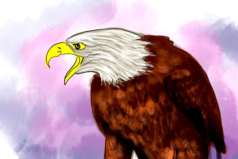 eagle(354).jpg