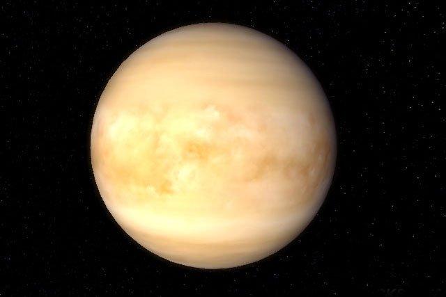 507934-venus.jpg