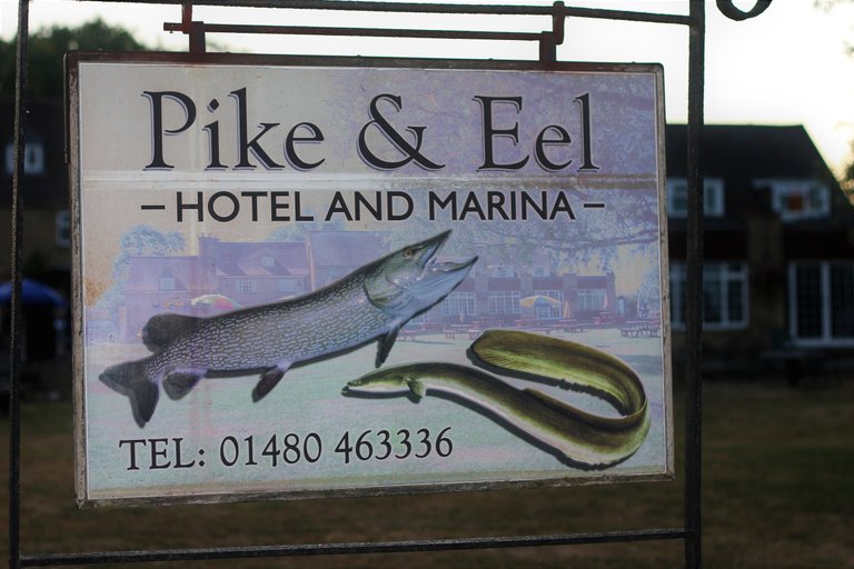 pike and eel pub sign.JPG