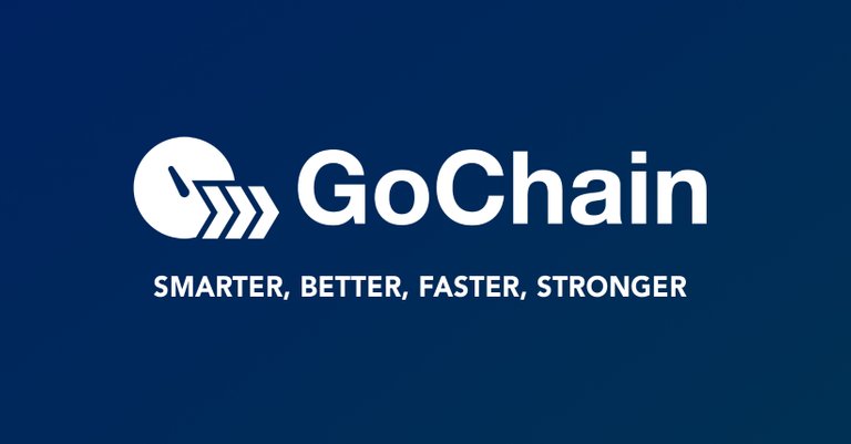 gochain head.jpg