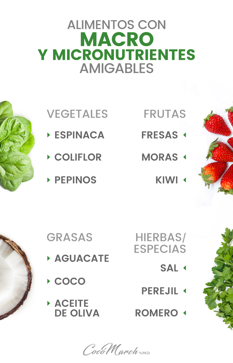 BLOG3_Alimentos-con-micro-y-macronutrientes (1).png