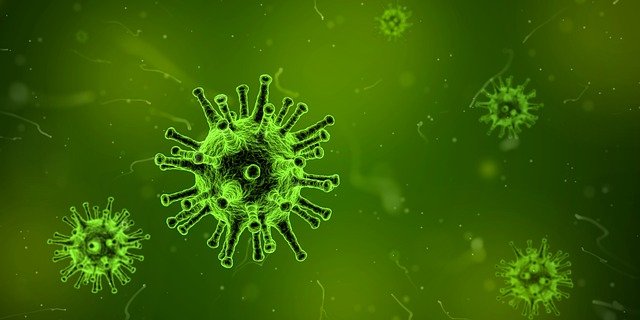 virus-1812092_640.jpg