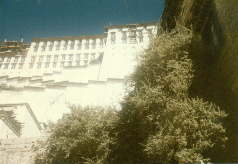 potala 7.jpg