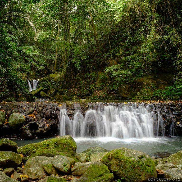 PH Makiling Botanic Garden-1.jpg