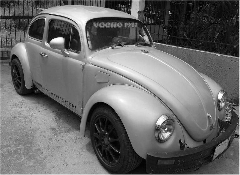 Vocho Blanco y negro.png