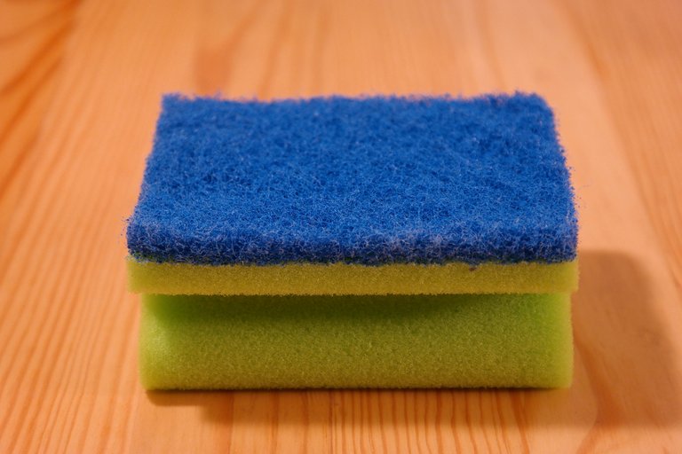 sponge-231922_1920.jpg