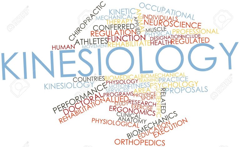 16678284-abstract-word-cloud-for-kinesiology-with-related-tags-and-terms (1).jpg