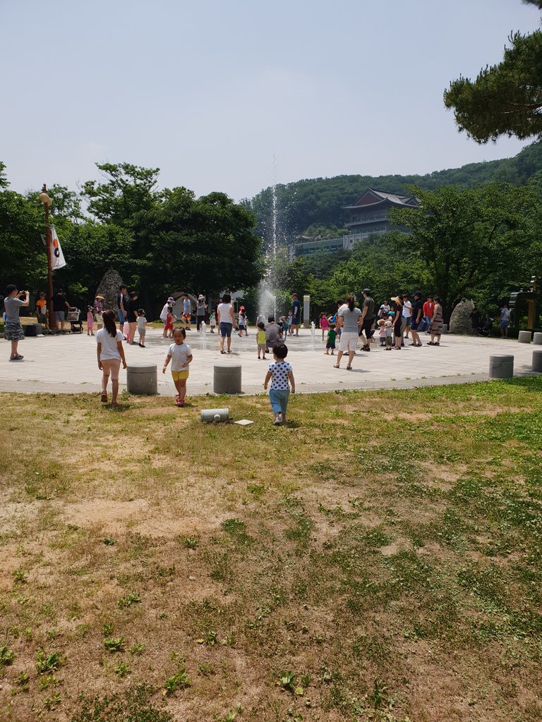 20180606_115722.jpg