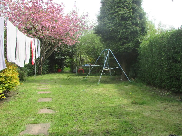 IMG_0026.JPG